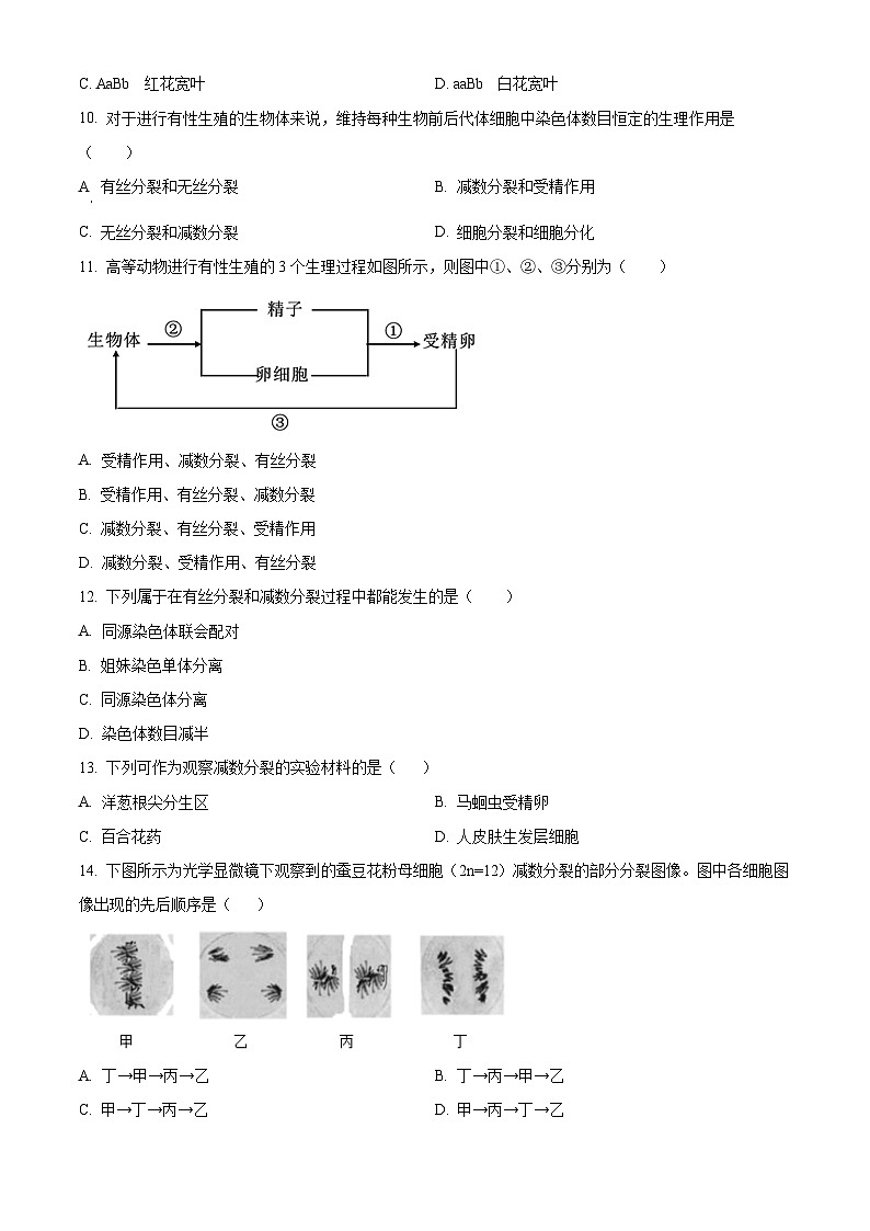 新疆维吾尔自治区克州阿图什市第一中学2023-2024学年高一下学期期中质量监测生物试卷（原卷版）第3页