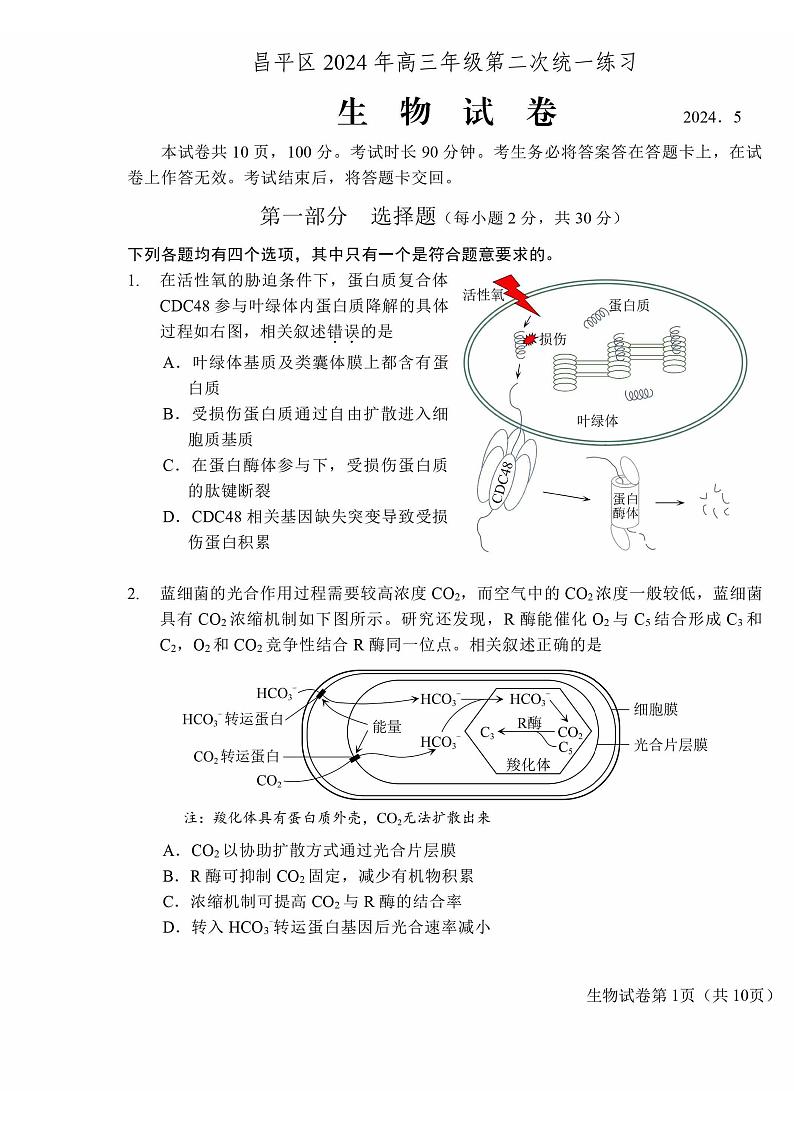 北京市昌平区2024年高三年级第二次统一练习生物试题+答案（昌平二模）第1页