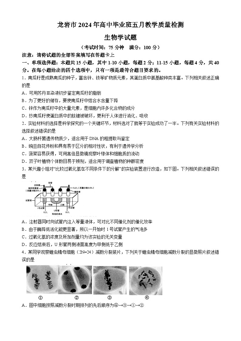 福建省龙岩市2024届高三下学期5月教学质量检测生物试题（Word版附答案）01