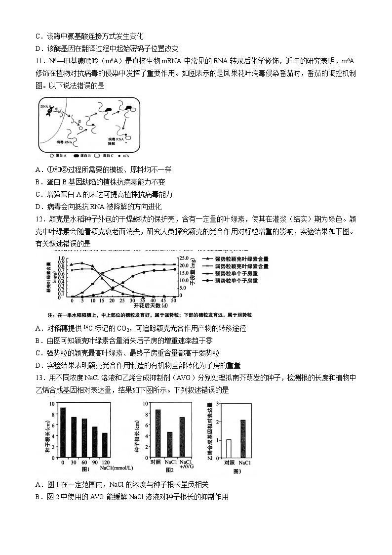 福建省龙岩市2024届高三下学期5月教学质量检测生物试题（Word版附答案）03