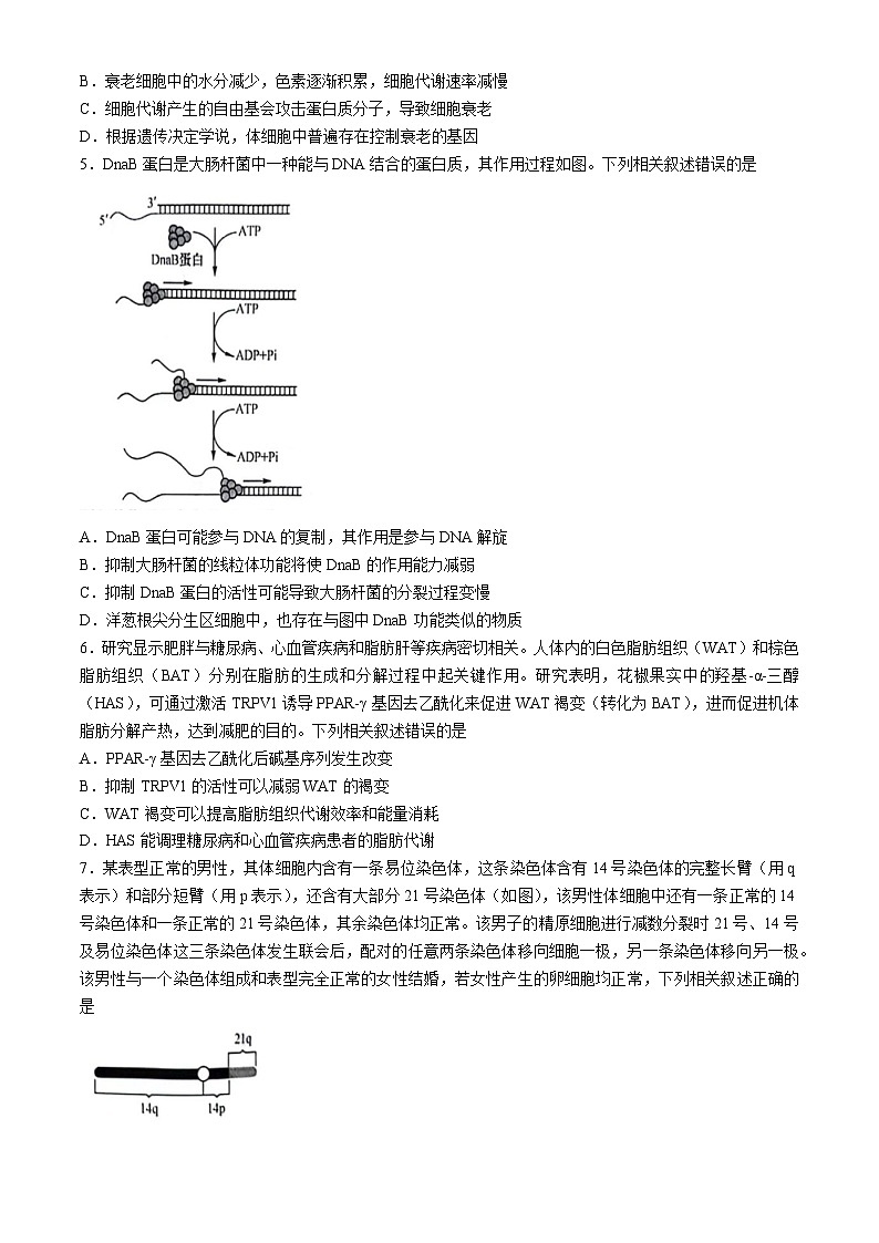 江西省部分重点中学2024届高三下学期第二次联考生物试题（Word版附答案）第2页