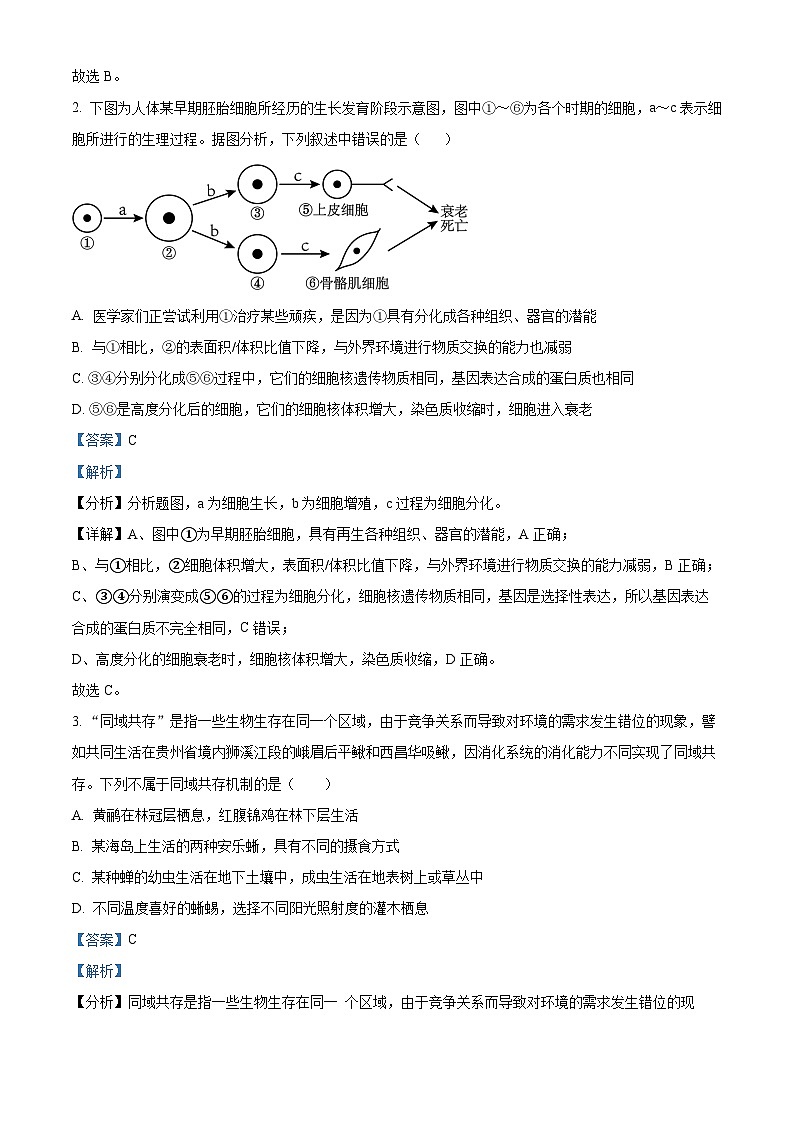 四川省成都外国语学校2024届高三下学期二诊生物试题（Word版附解析）02