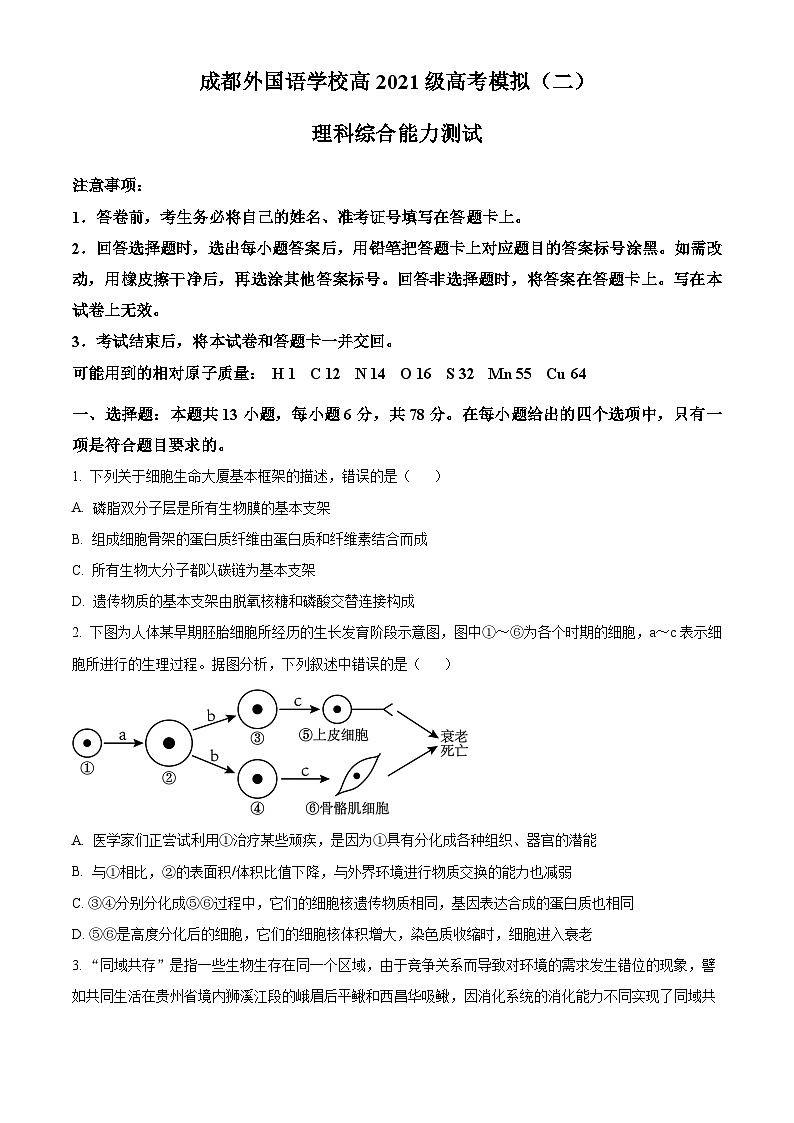 四川省成都外国语学校2024届高三下学期二诊生物试题（Word版附解析）01