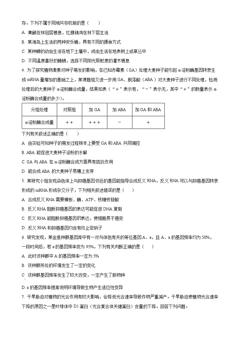 四川省成都外国语学校2024届高三下学期二诊生物试题（Word版附解析）02