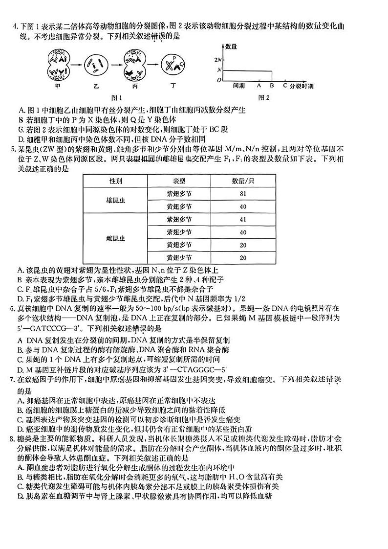 江西省重点中学盟校2024届高三第二次联考 生物试卷第2页