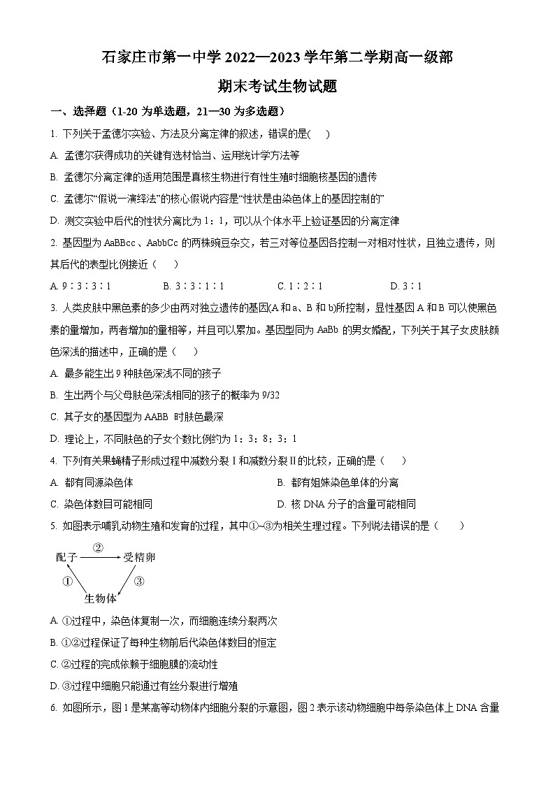 河北省石家庄市第一中学2022-2023学年高一下学期期末生物试题（Word版附解析）01