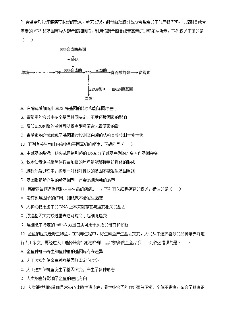 河北省邯郸市2022-2023学年高一下学期期末生物试题（Word版附解析）03