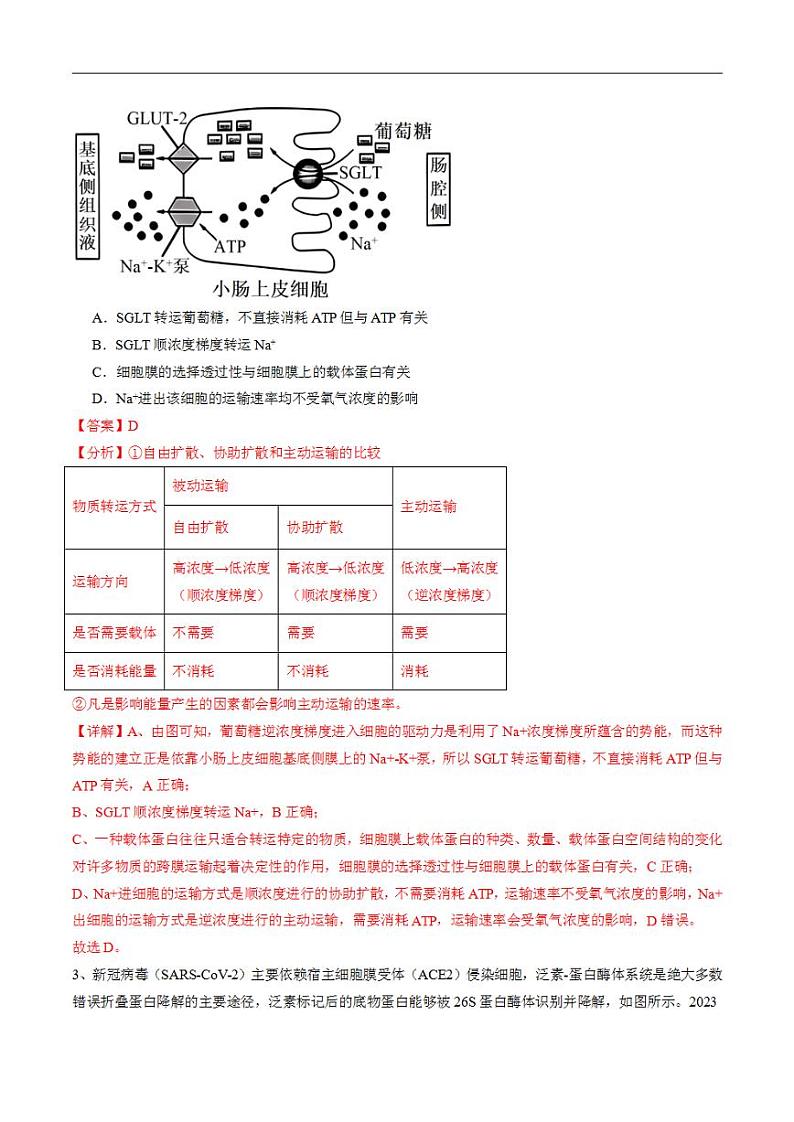 2024年高考押题预测卷—生物（安徽卷02）（解析版）第2页
