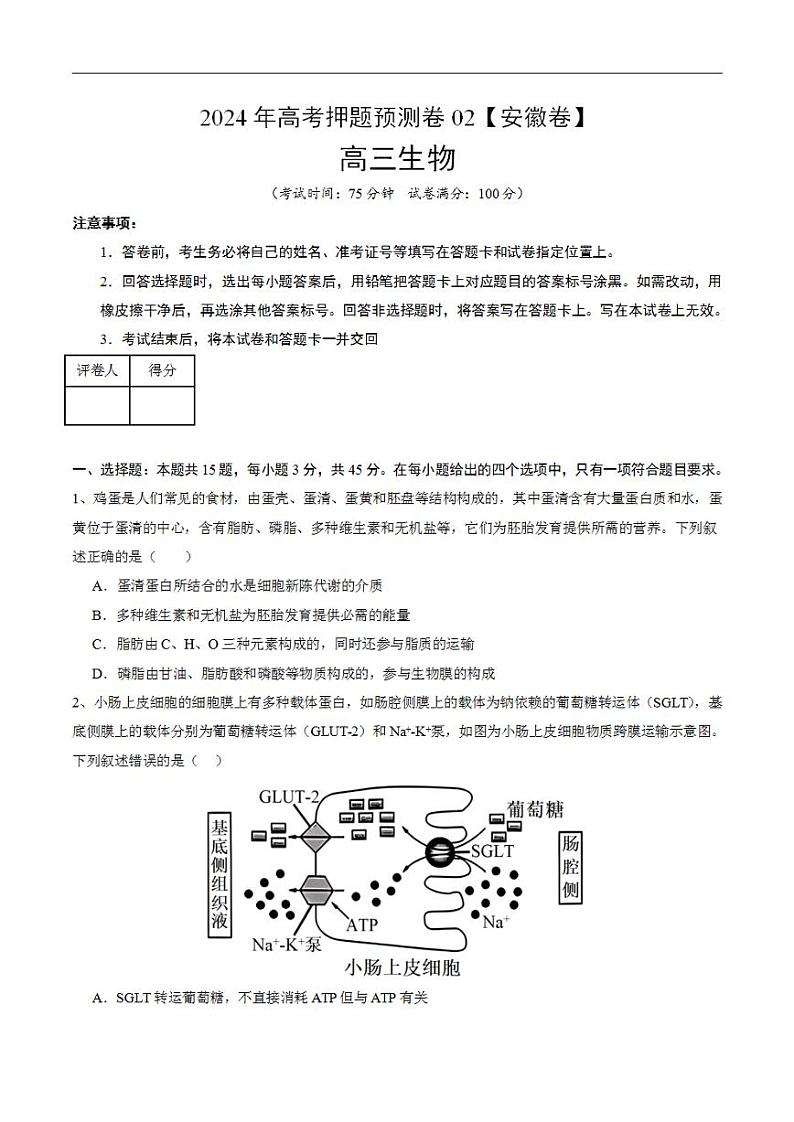2024年高考押题预测卷—生物（安徽卷02）（考试版）01
