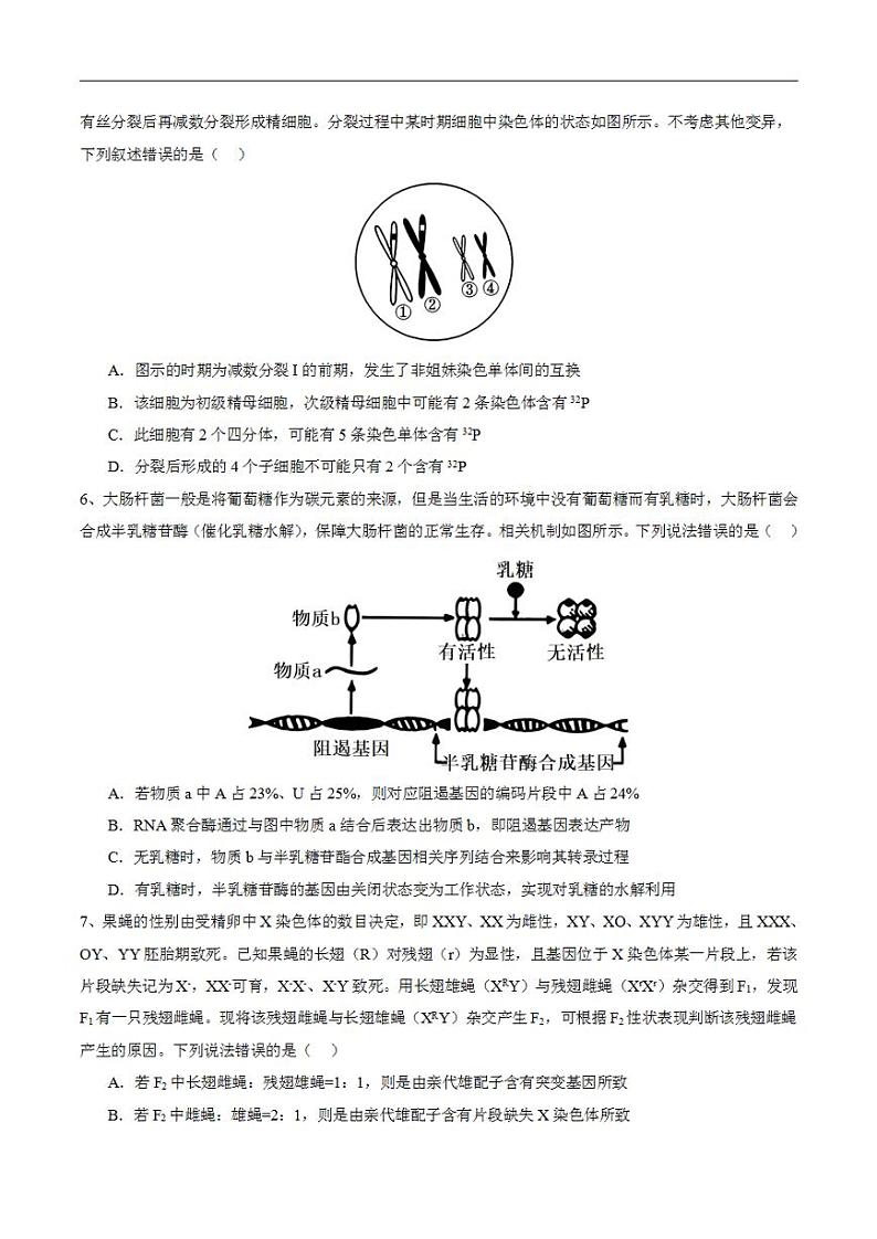 2024年高考押题预测卷—生物（安徽卷02）（考试版）03