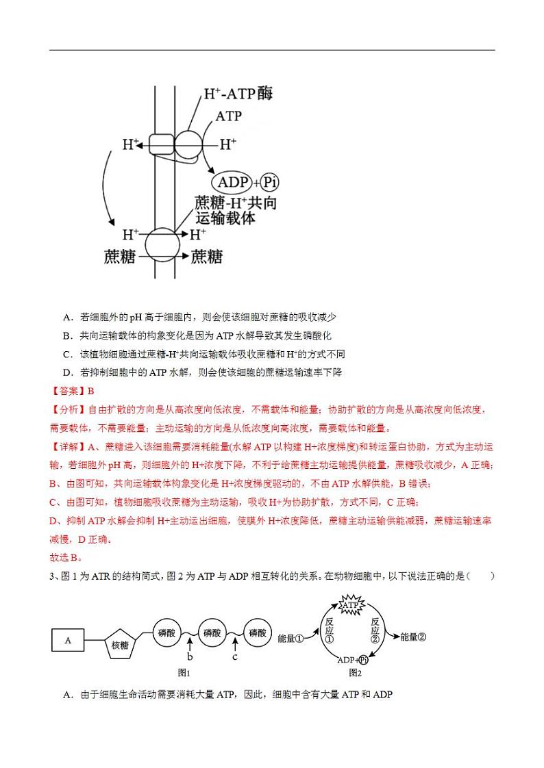 2024年高考押题预测卷—生物（安徽卷03）（解析版）02