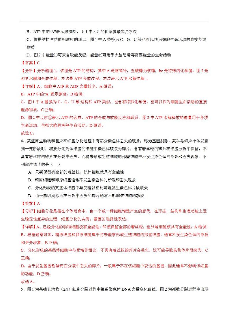 2024年高考押题预测卷—生物（安徽卷03）（解析版）03