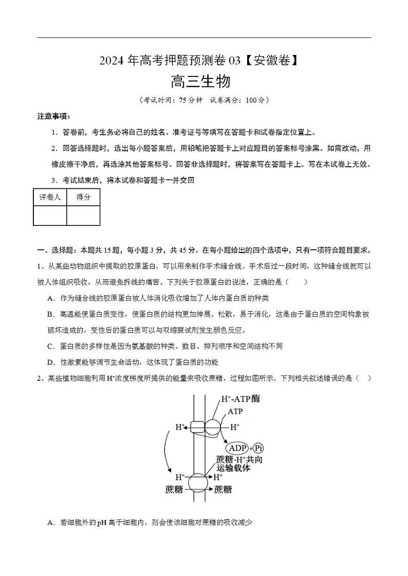 2024年高考押题预测卷—生物（安徽卷03）（考试版）01
