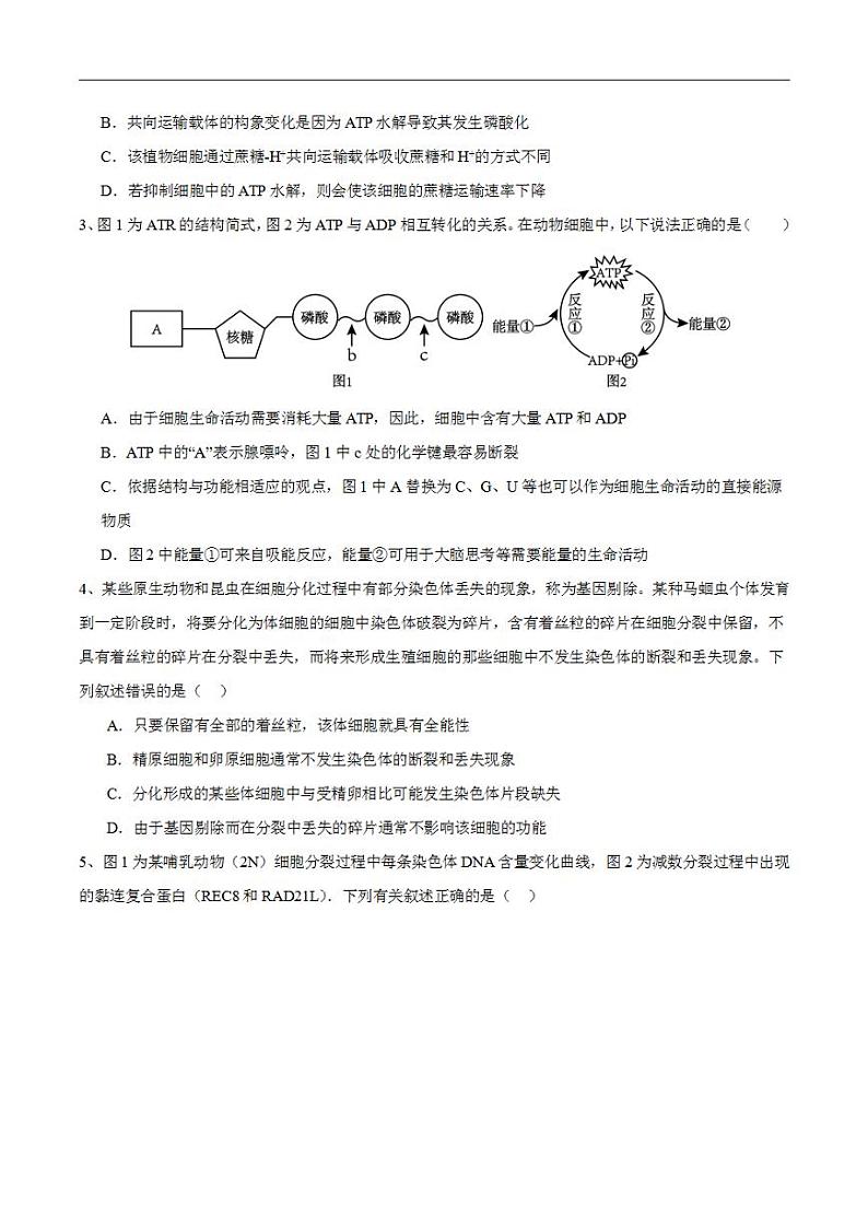 2024年高考押题预测卷—生物（安徽卷03）（考试版）02