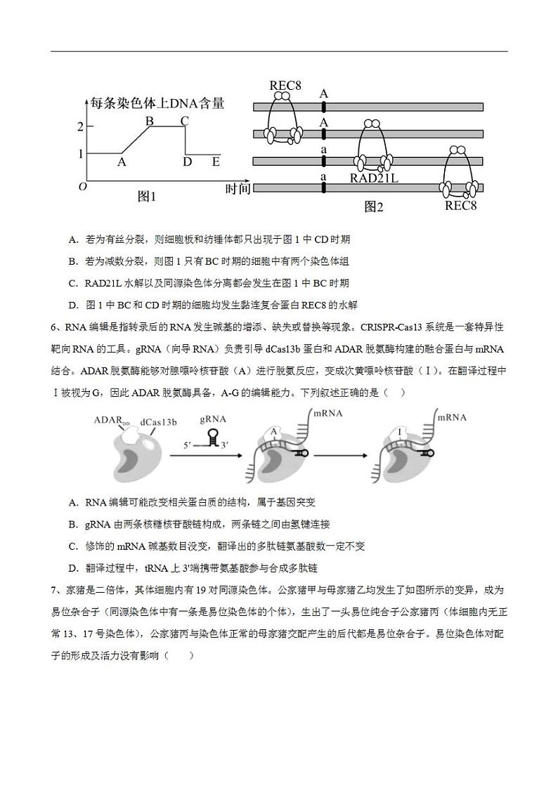 2024年高考押题预测卷—生物（安徽卷03）（考试版）03