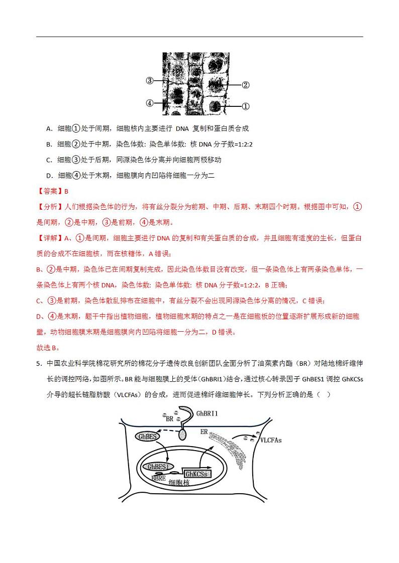 2024年高考押题预测卷—生物（福建卷02）（解析版）第3页