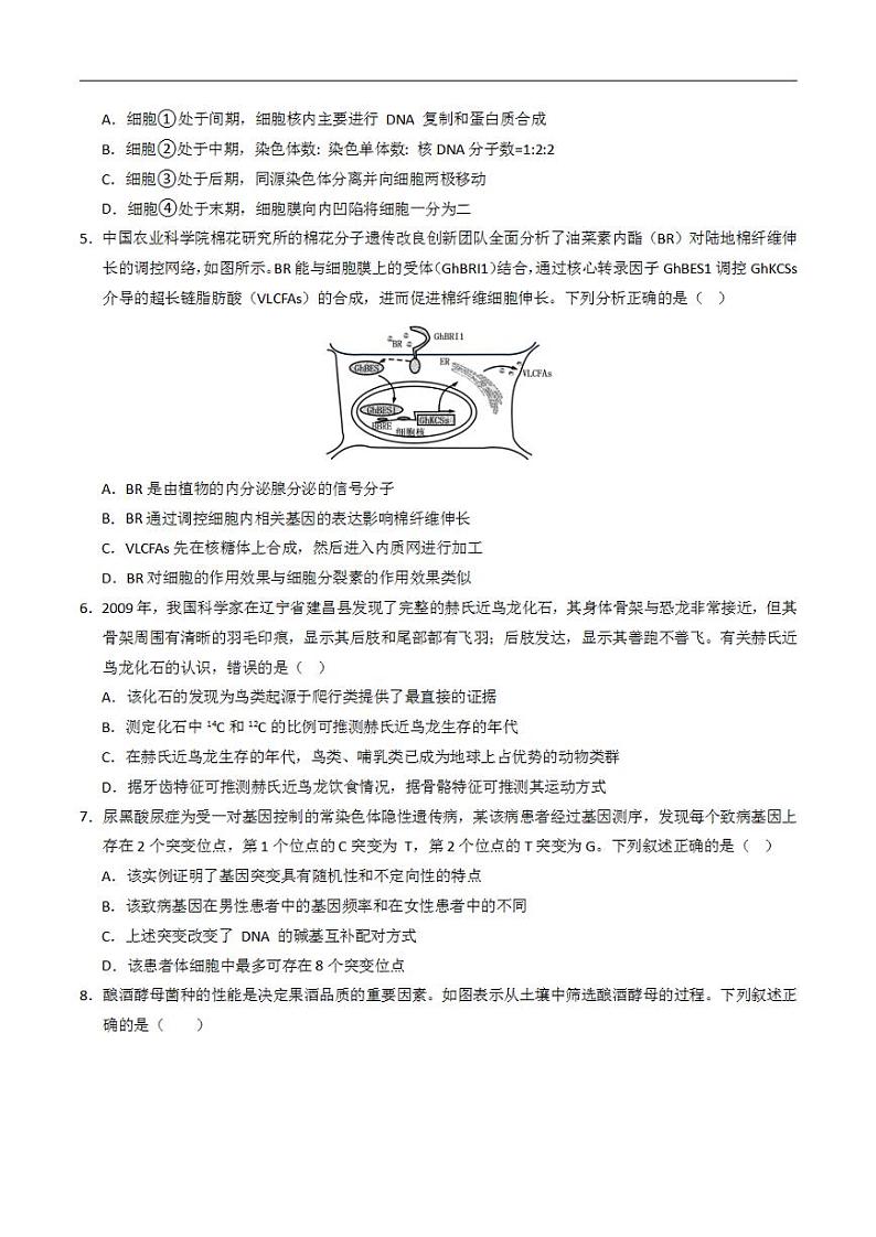 2024年高考押题预测卷—生物（福建卷02）（考试版）02