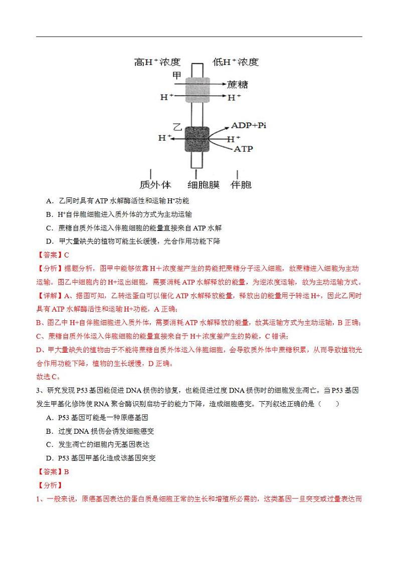 2024年高考押题预测卷—生物（广东卷01）（解析版）第2页