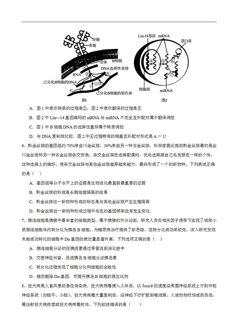 2024年高考押题预测卷—生物（广东卷02）（考试版）03