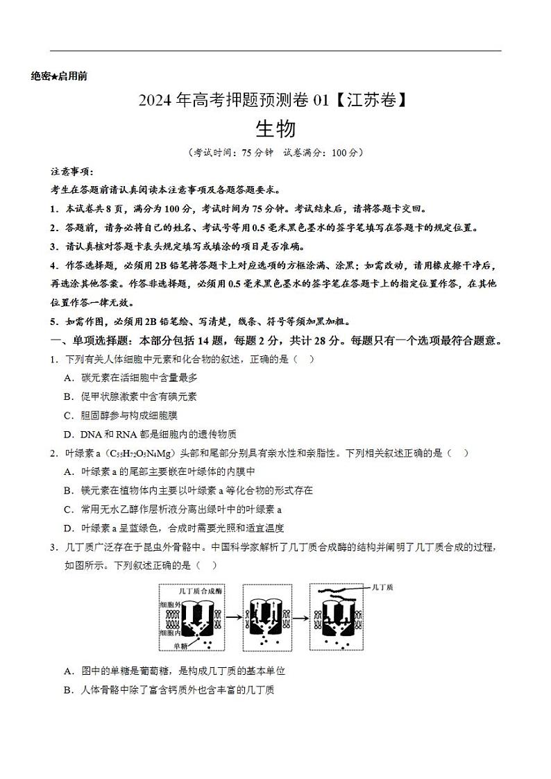 2024年高考押题预测卷—生物（江苏卷01）（考试版）01