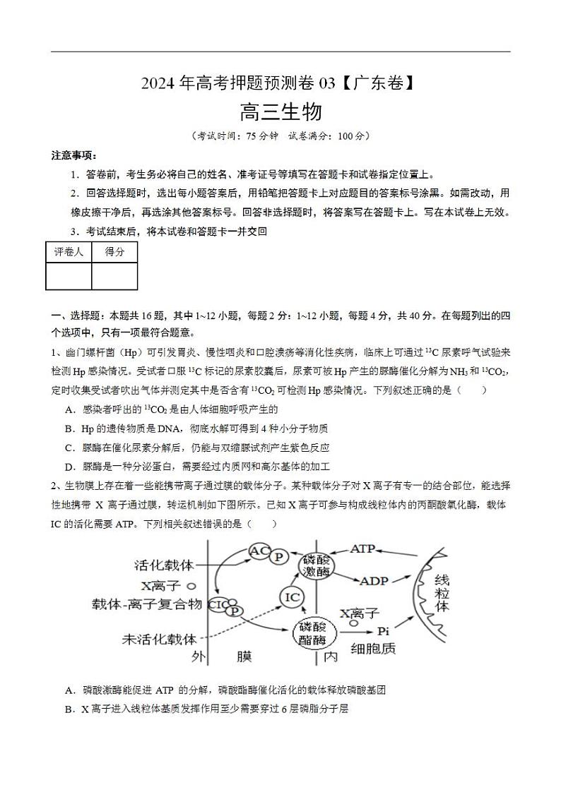 2024年高考押题预测卷—生物（广东卷03）（考试版）01