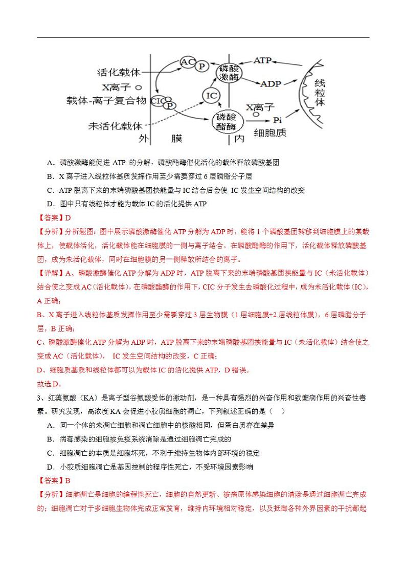 2024年高考押题预测卷—生物（广东卷03）（解析版）02