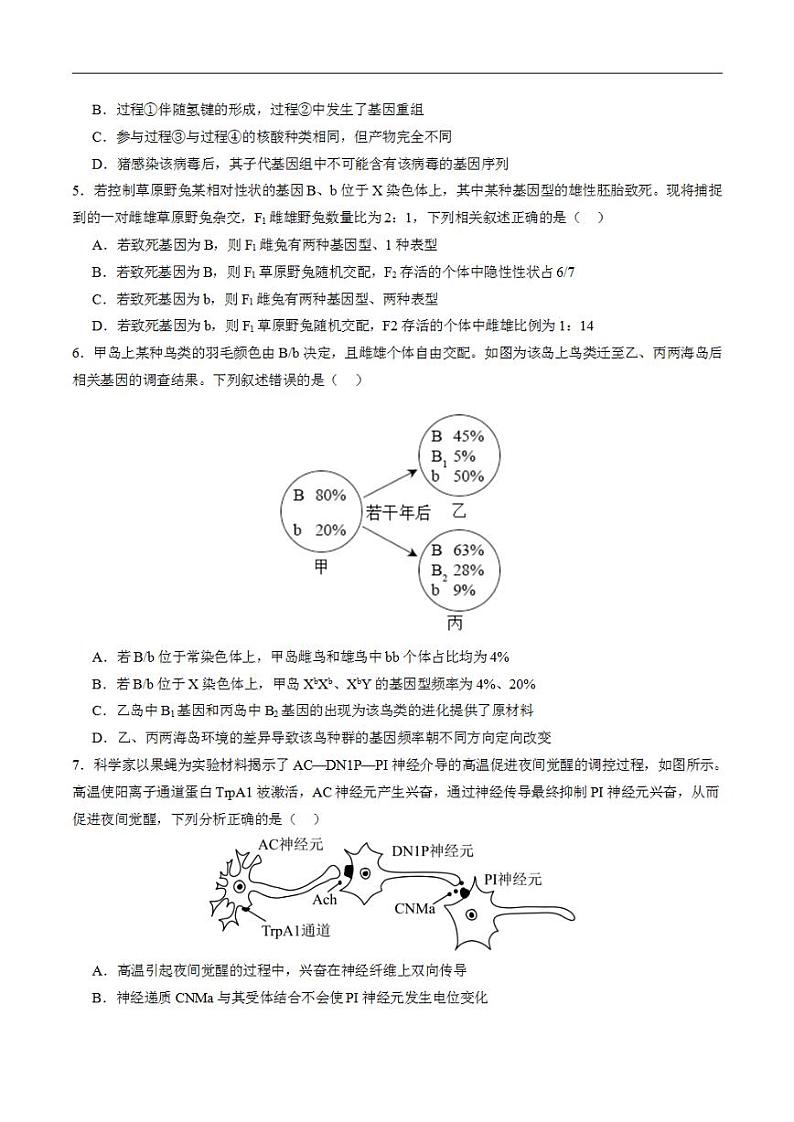 2024年高考押题预测卷—生物（辽宁卷03）（考试版）03