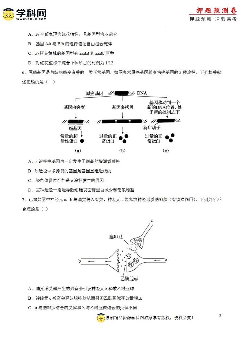 2024年高考押题预测卷—生物（辽宁卷02）（考试版）03