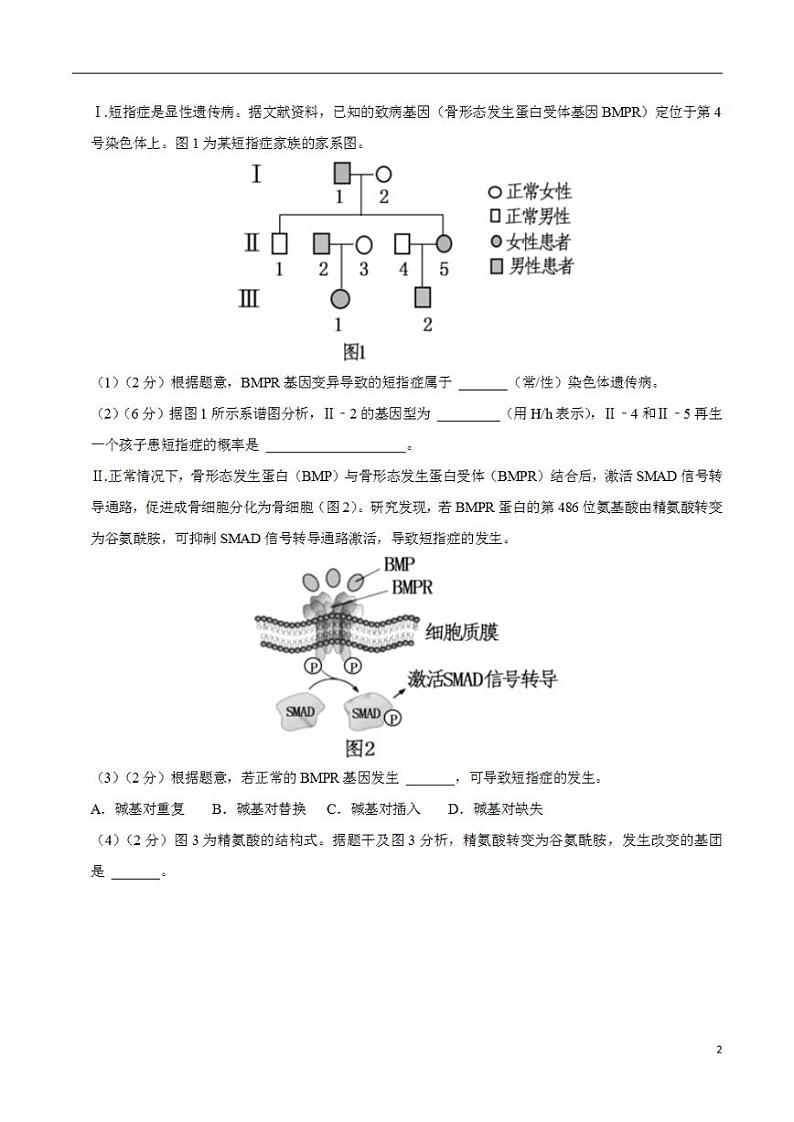 2024年高考押题预测卷—生物（上海卷03）（考试版）第2页
