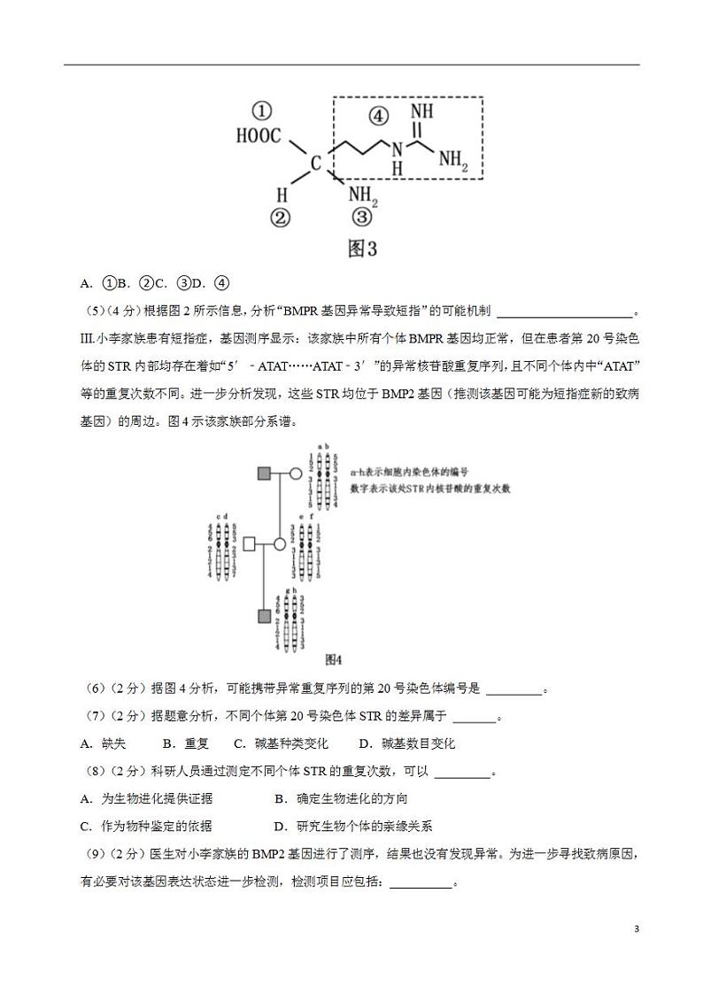2024年高考押题预测卷—生物（上海卷03）（考试版）第3页