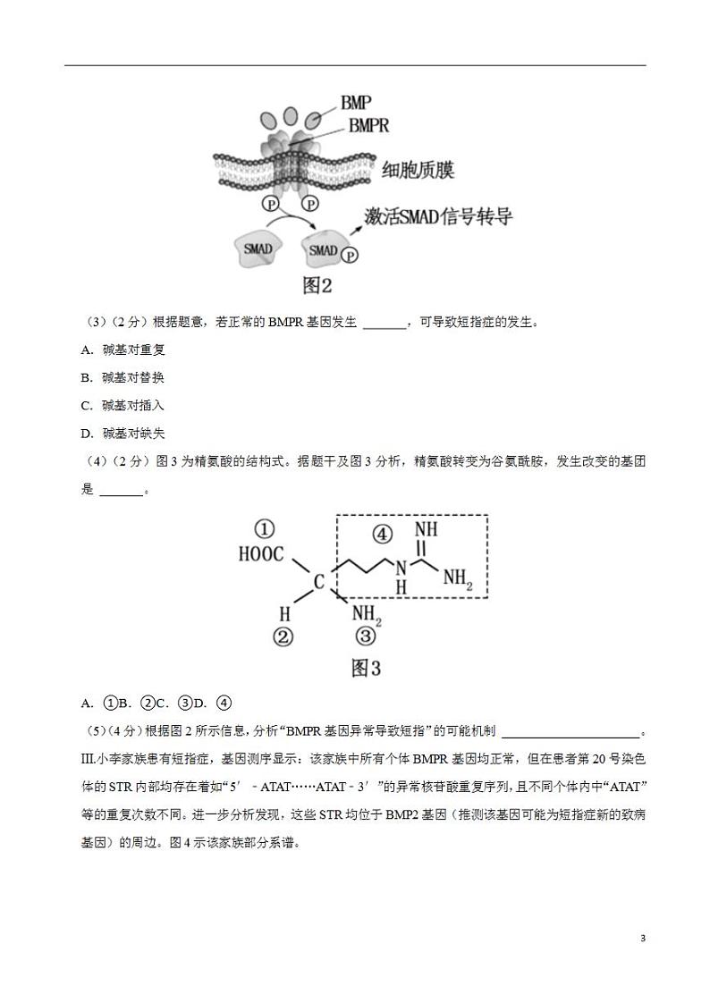 2024年高考押题预测卷—生物（上海卷03）（解析版）第3页