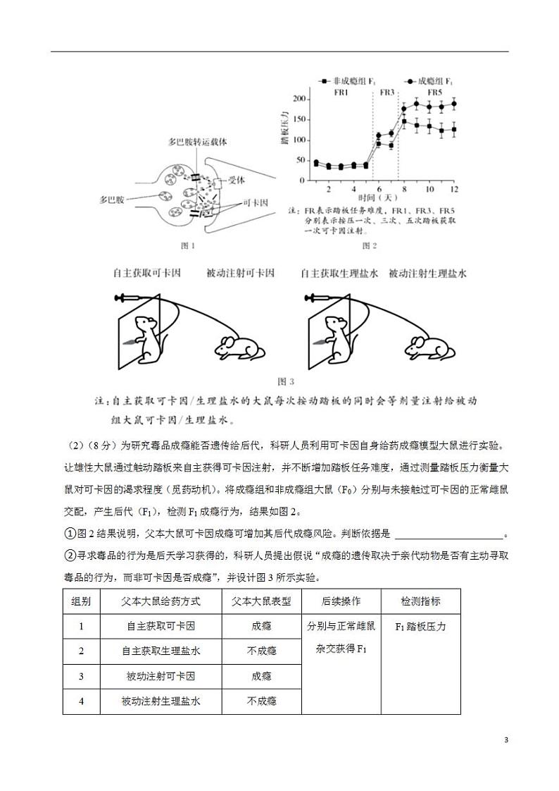 2024年高考押题预测卷—生物（上海卷02）（考试版）第3页