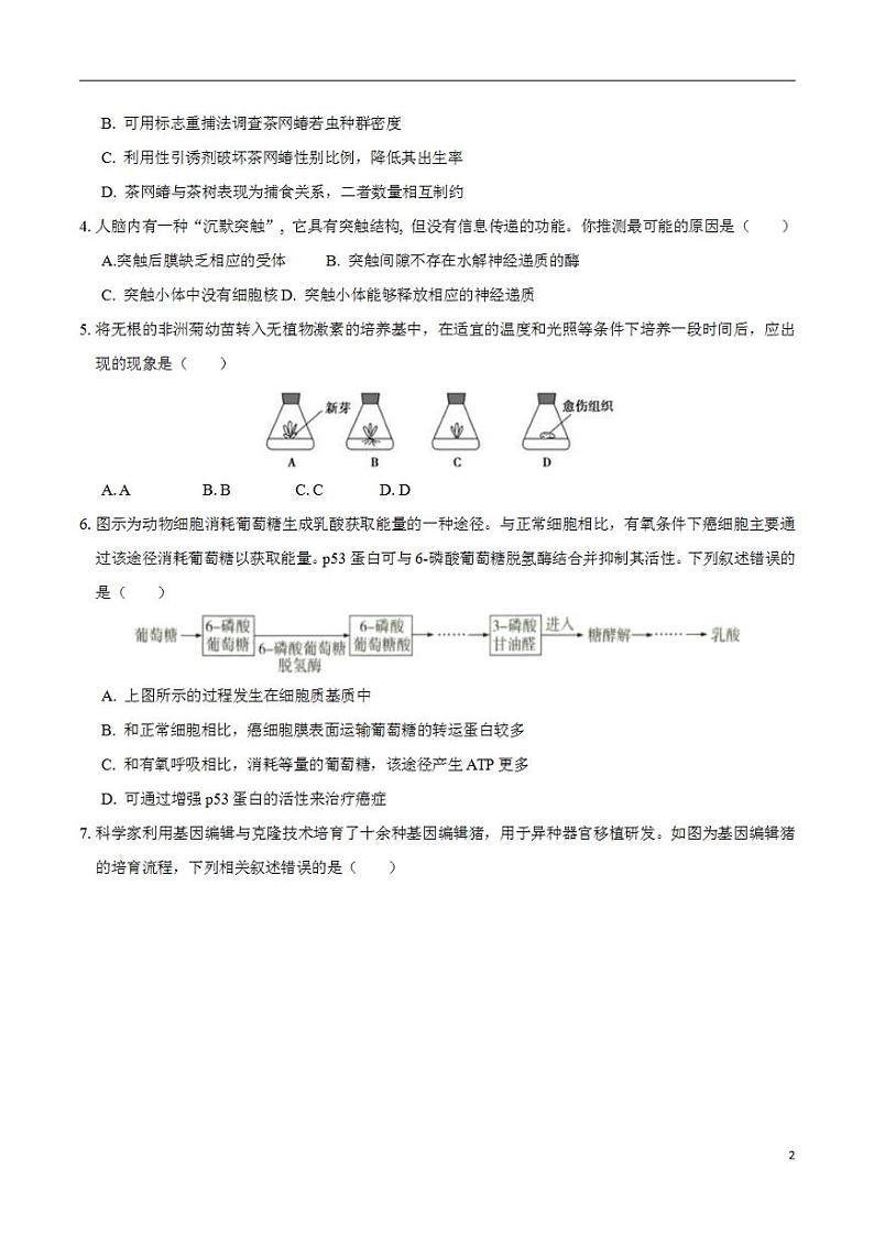 2024年高考押题预测卷—生物（天津卷01）（考试版）第2页