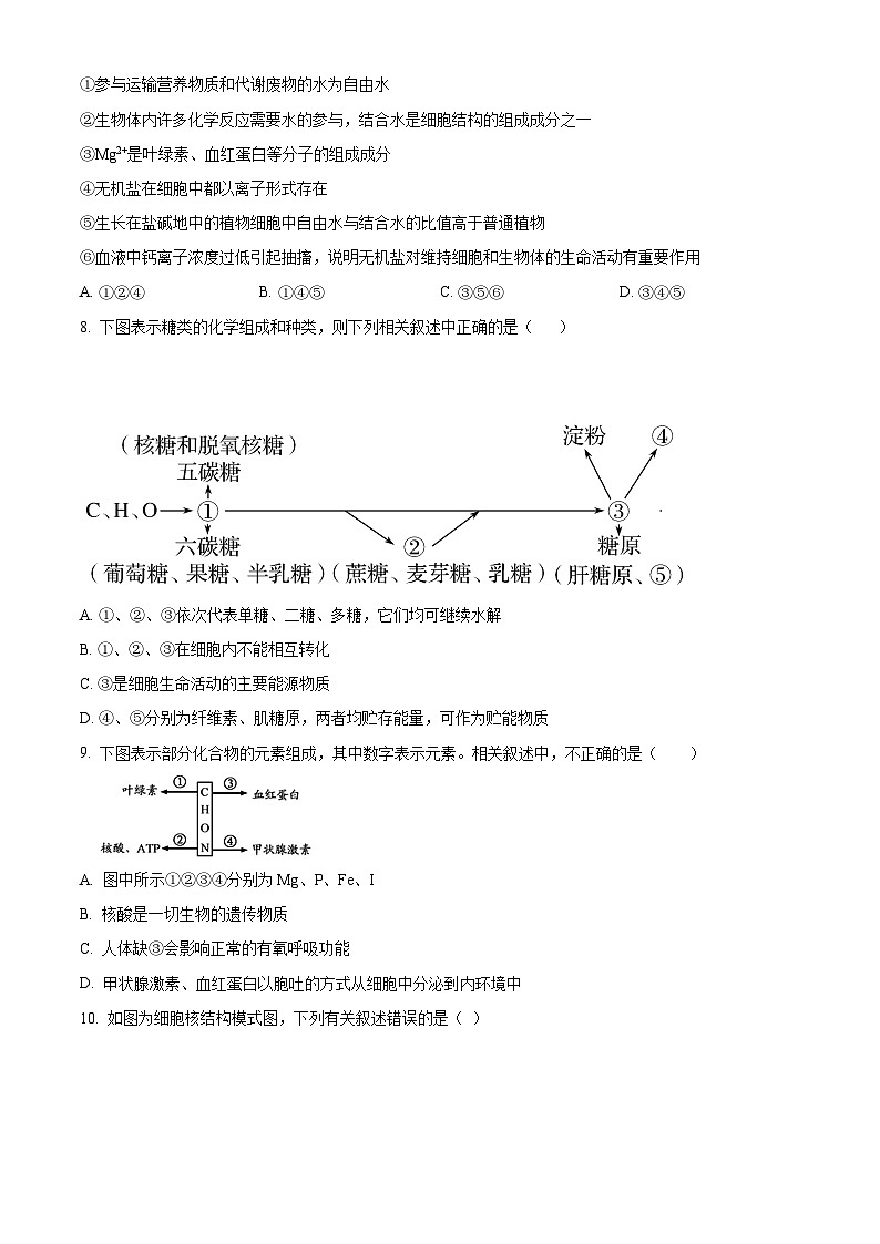 福建省厦门市湖滨中学2023-2024学年高二下学期期中考试生物试题（原卷版+解析版）03