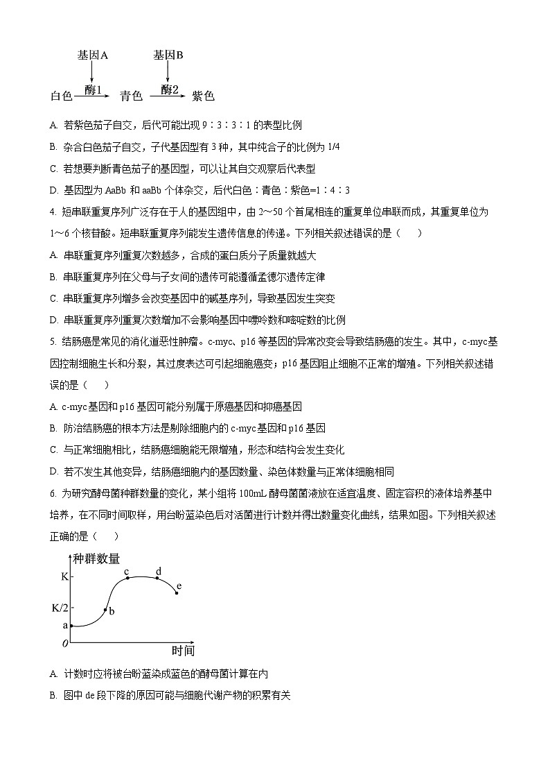 河南省开封市杞县等4地2023-2024学年高二下学期4月期中生物试题（原卷版+原卷版+解析版+解析版）02