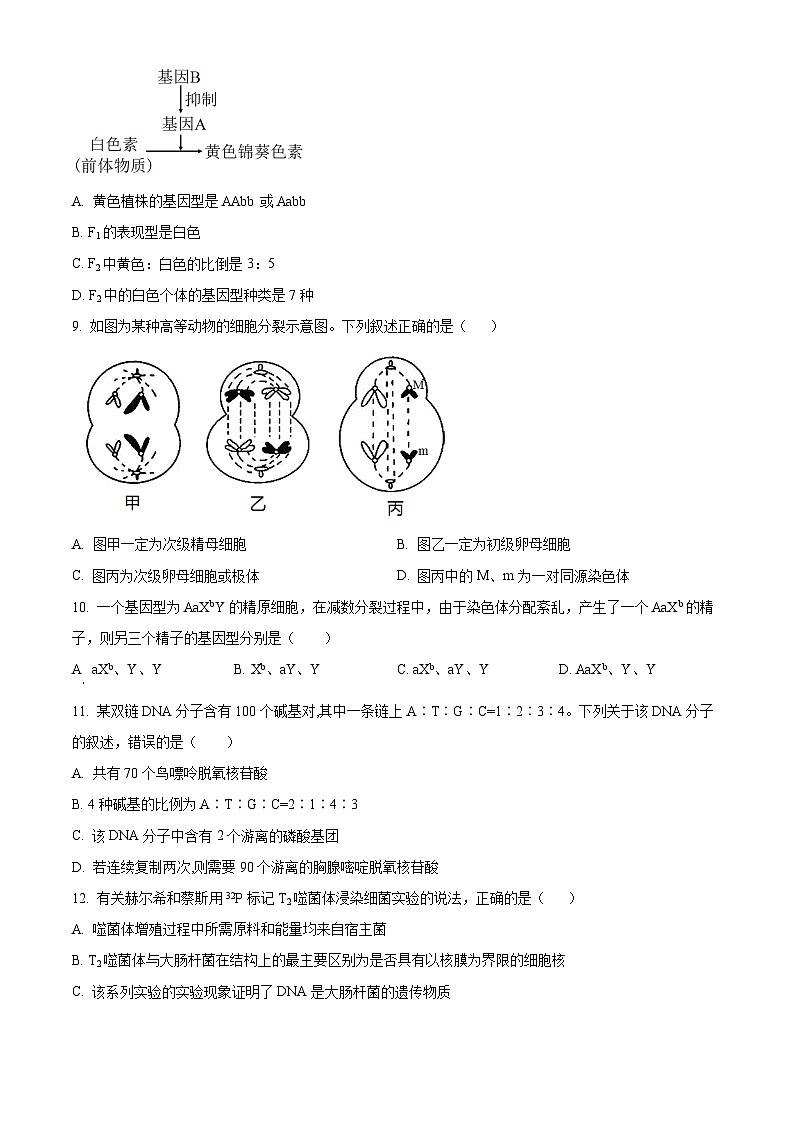 河南省驻马店经济开发区高级中学2023-2024学年高一下学期4月期中生物试题（原卷版）第3页