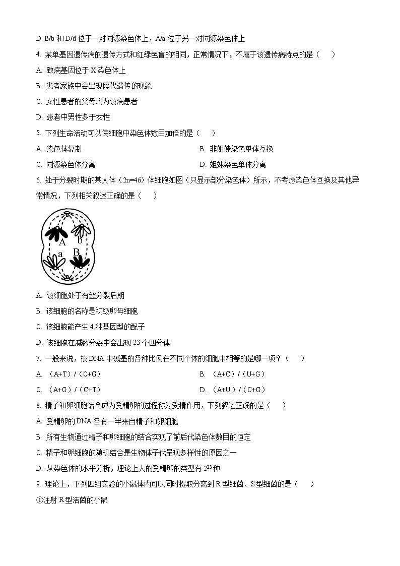 河北省2023-2024学年高一下学期4月期中生物试题（原卷版）第2页
