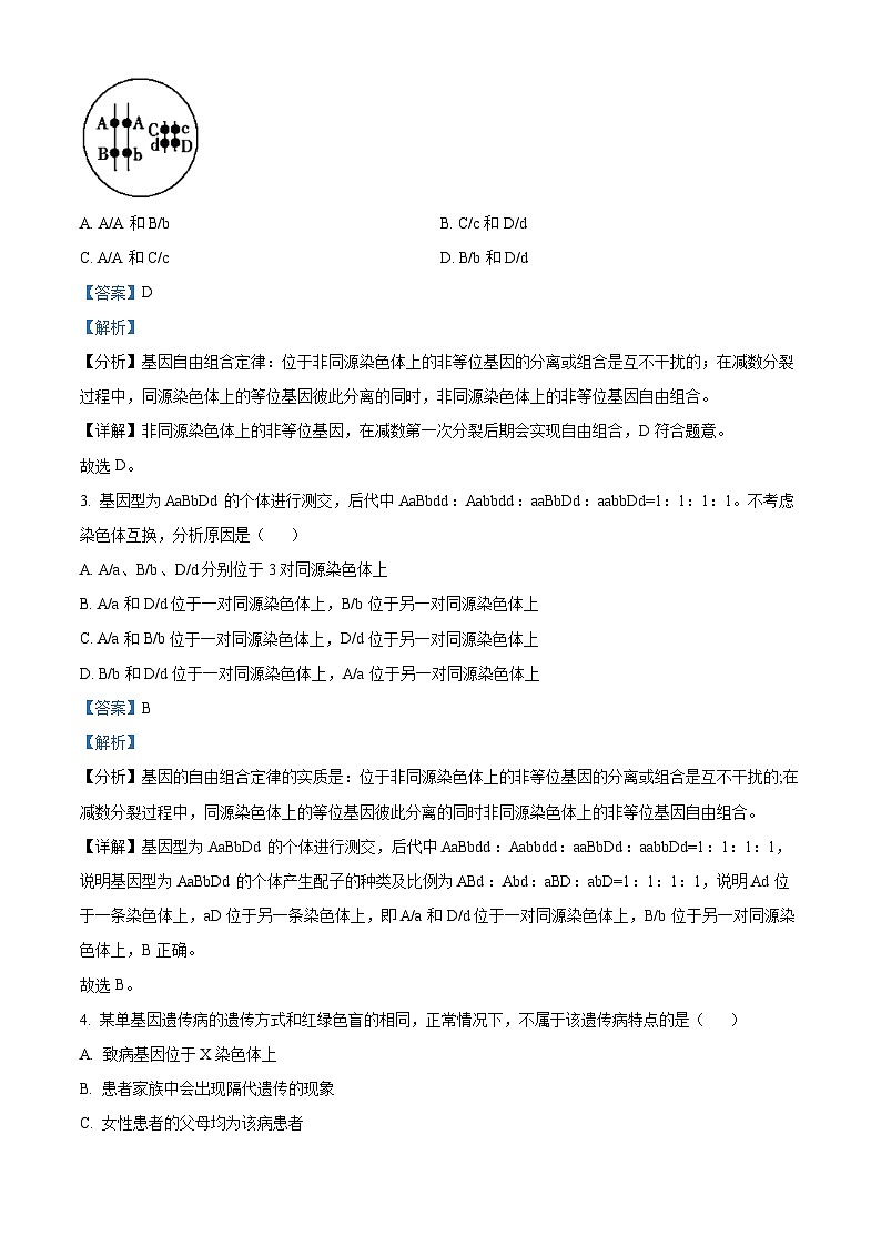 河北省2023-2024学年高一下学期4月期中生物试题（解析版）第2页