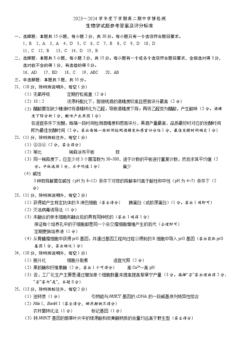 2024年山东省济南市高二下学期期中生物试卷01