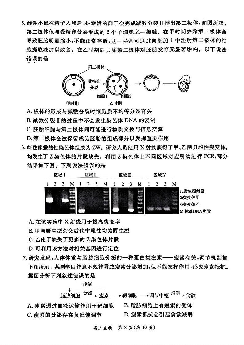 北京市东城区2024年高三二模考试生物试题02
