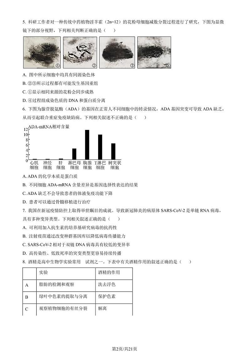 2022北京市昌平区高三上学期期末生物试卷及答案02