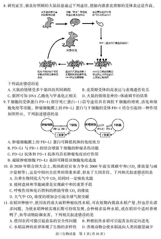 2022北京市朝阳区高三上学期期末生物试卷及答案03