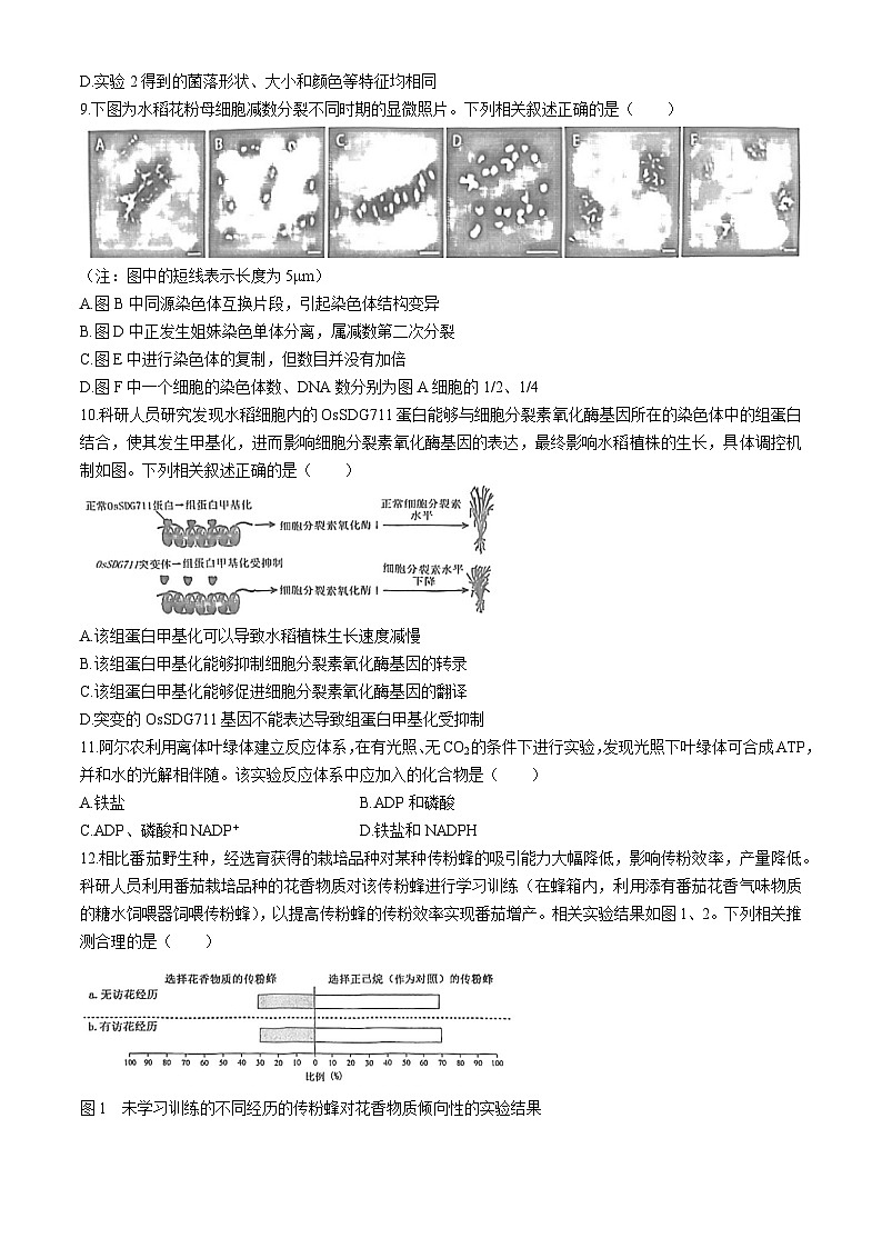 2024届福建省泉州市高三下学期5月适应性练习生物试题03