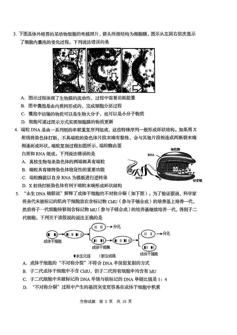 24青岛二模+枣庄三调生物试题第2页