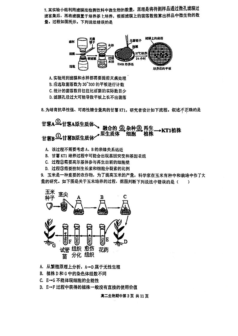 2024北京育才学校高二下学期期中生物试卷03
