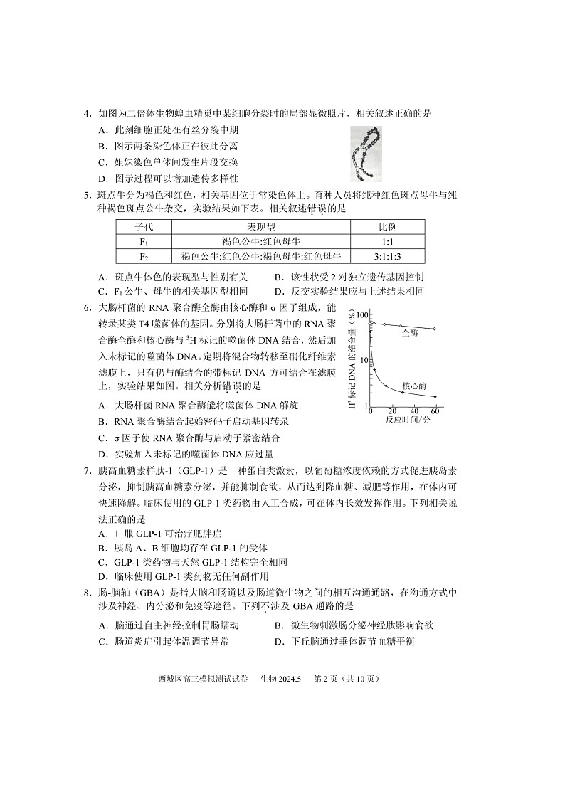 2024北京西城高三二模生物试题及答案第2页