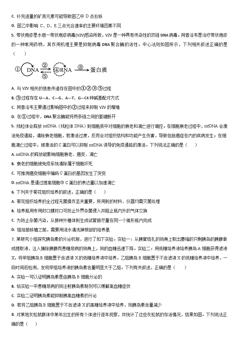 2024通化梅河口五中高三下学期5月二模试题生物含答案02