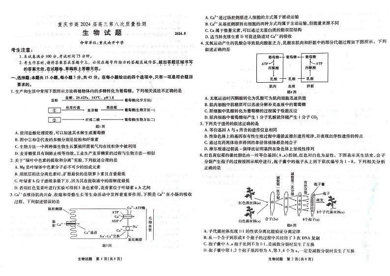 2024届重庆市南开中学高三下学期5月第八次质量检测生物试题第1页