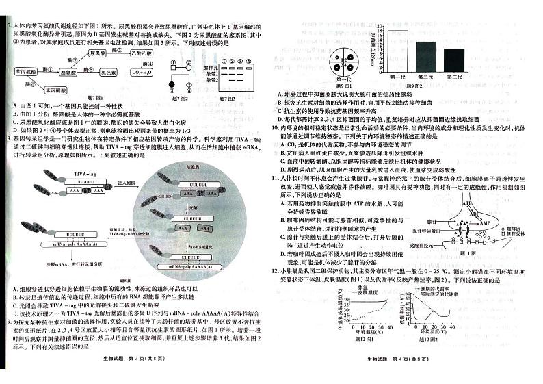 2024届重庆市南开中学高三下学期5月第八次质量检测生物试题第2页