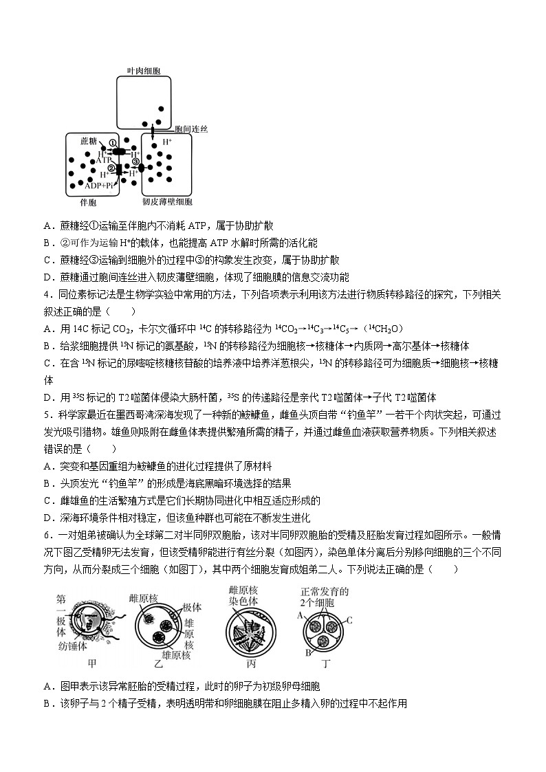 2024长沙一中高三下学期二模生物试题含解析第2页